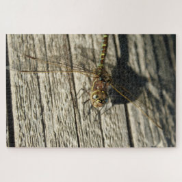 Dragonfly Puzzle Pussel