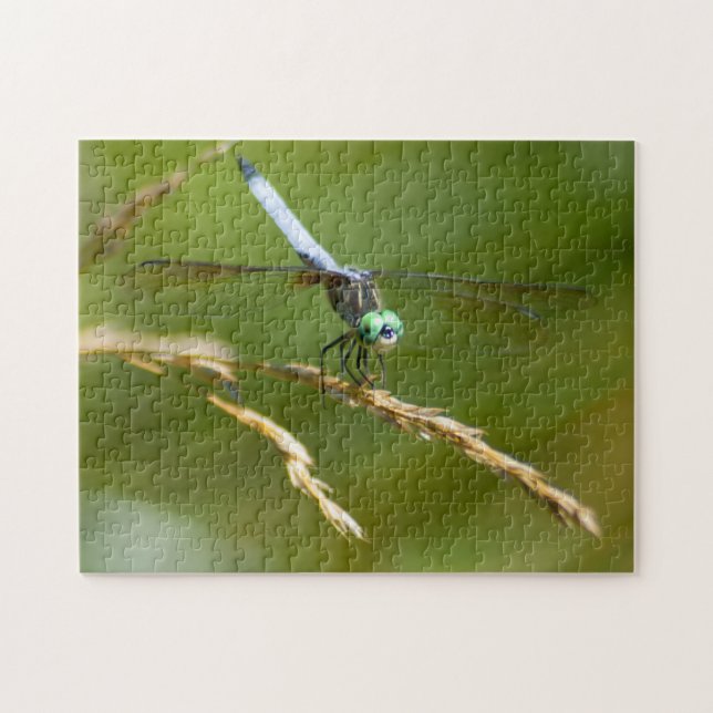 Dragonfly Puzzle Pussel (Horisontell)