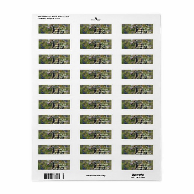 Dragonfly Return Address Label Returadress Etikett (Helt Ark)