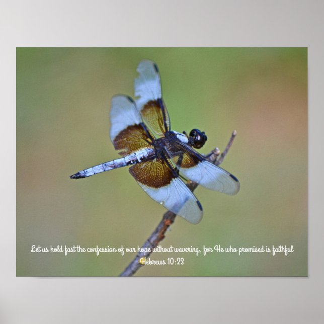 Dragonfly Scripture Photographic Art Skriv ut Poster (Framsidan)