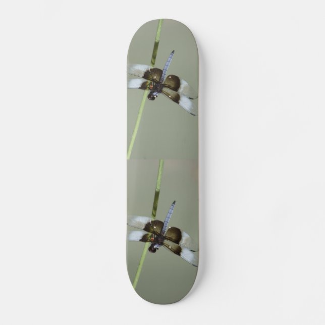 Dragonfly Skateboard (Framsida)