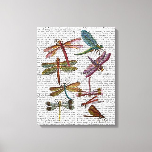 Dragonfly Skriv ut 4 Canvastryck (Framsida)