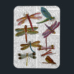 Dragonfly Skriv ut 4 Magnet<br><div class="desc">Djur och natur</div>