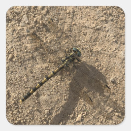 Dragonfly Sticker Fyrkantigt Klistermärke