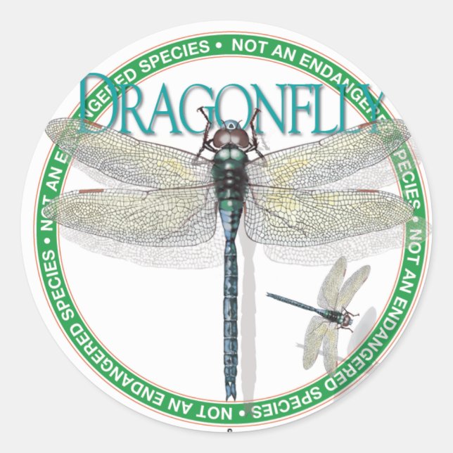 Dragonfly Sticker Runt Klistermärke (Framsida)