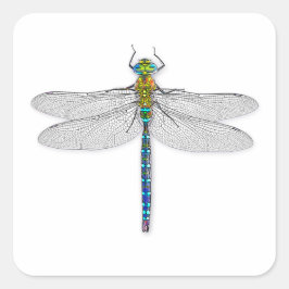 Dragonfly Stickers Labels Sälar Fyrkantigt Klistermärke