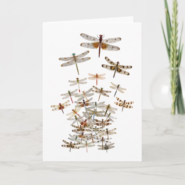 Dragonfly Suppvärmkort Kort (Framsida)