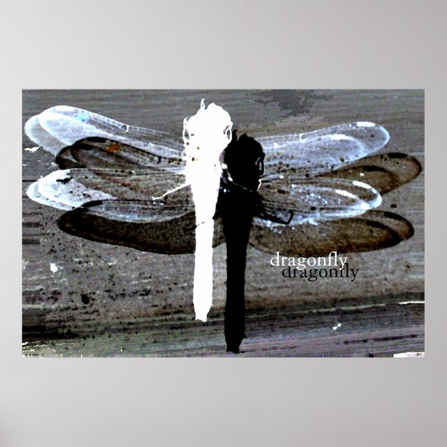 Dragonfly (svartvit separering) poster (Framsidan)