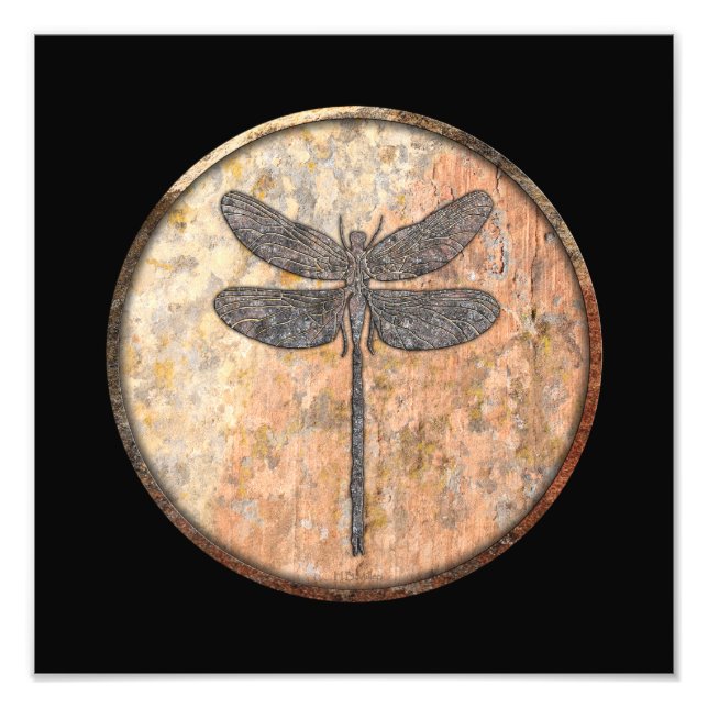 Dragonfly Talking Canyons, New mexico Fototryck (Framsidan)