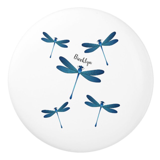 Dragonfly tecknad illustration knopp (Framsidan)