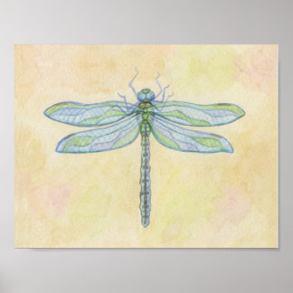 Dragonfly-teckningsutskrift Poster