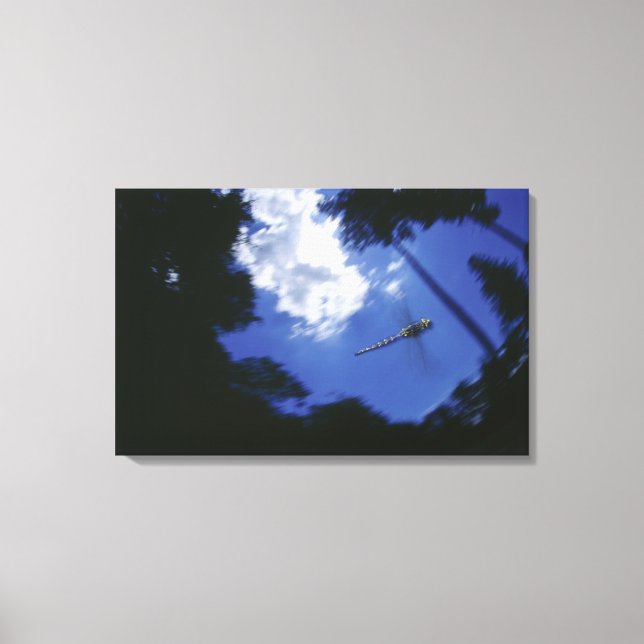 Dragonfly under flygning, flaxande vingar canvastryck (Framsida)