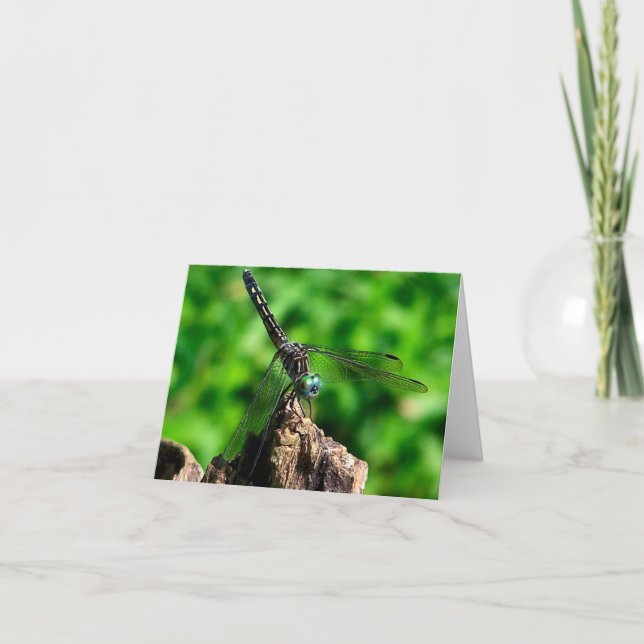 Dragonfly Up Close Nature Photography  Anteckningskort (Framsida)