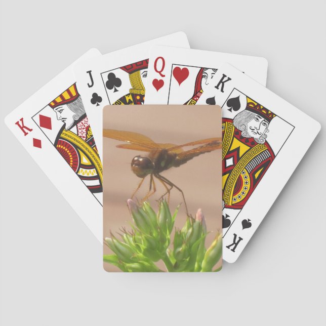 Dragonfly-uppspelningskort Casinokort (Baksidan)