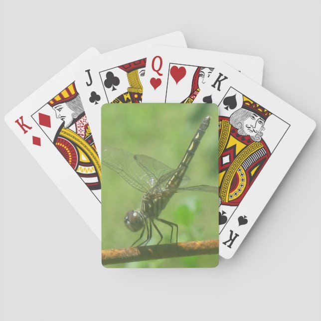 Dragonfly-uppspelningskort Spel Kort (Baksidan)