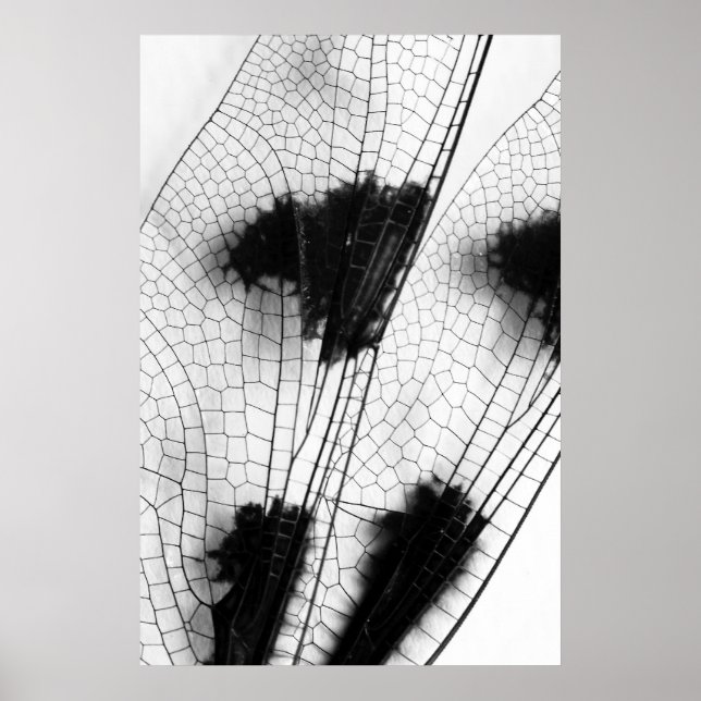 Dragonfly Vingar Poster (Framsidan)