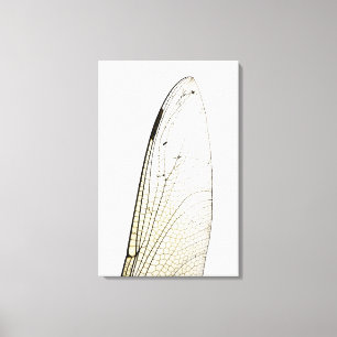 Dragonfly vinge canvastryck