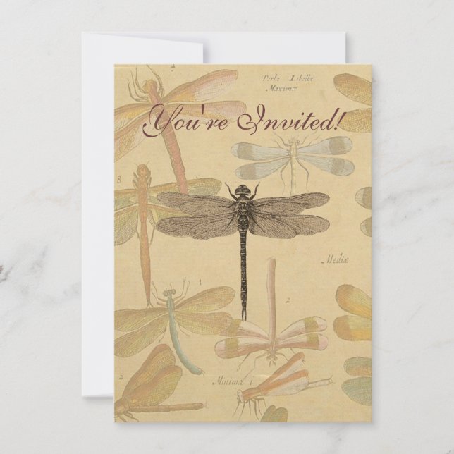 Dragonfly Vintage Antique Classic Nature Inbjudningar (Framsida)