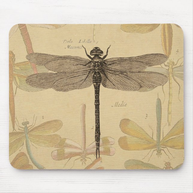 Dragonfly Vintage Antique Classic Nature Musmatta (Framsidan)
