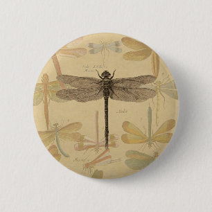Dragonfly Vintage Antique Classic Teckning Knapp