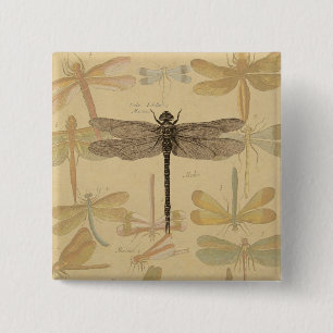 Dragonfly Vintage Antique Classic Teckning Knapp