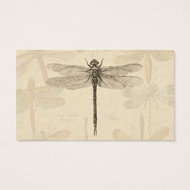 Dragonfly Vintage Antique Classic Teckning Visitkort (Baksidan)