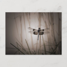 Dragonfly - Vintagens utseende Vykort