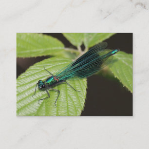 Dragonfly Visitkort