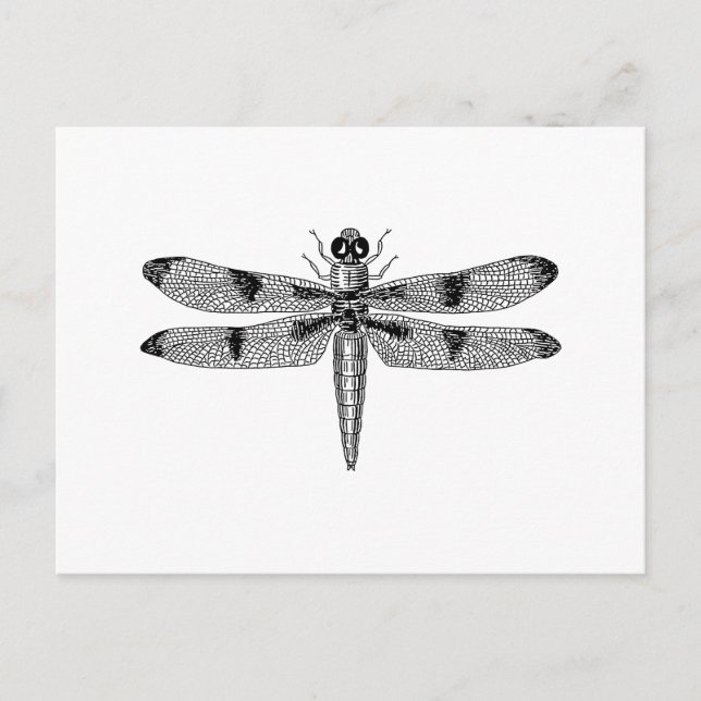 Dragonfly Vykort (Framsida)