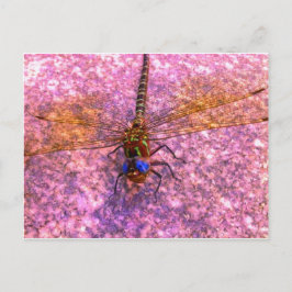 Dragonfly Vykort
