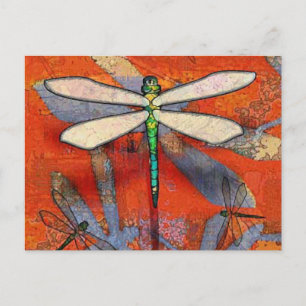 Dragonfly Vykort