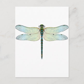 DragonFly Vykort