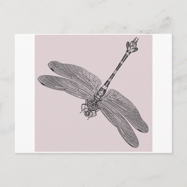 Dragonfly Vykort (Framsida)
