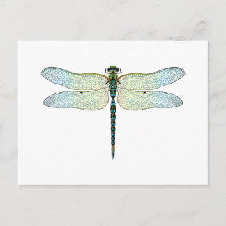 DragonFly Vykort