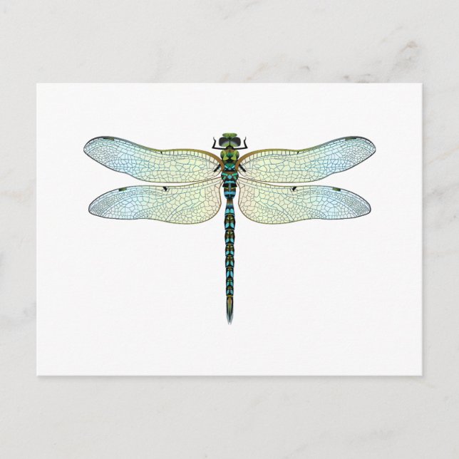 DragonFly Vykort (Framsida)