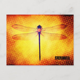 Dragonfly-vykort Vykort