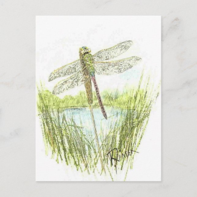 Dragonfly-vykort Vykort (Framsida)