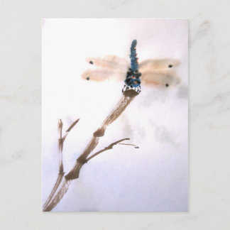 Dragonfly-vykort Vykort