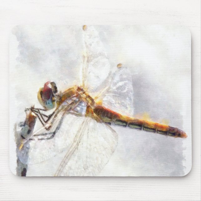 Dragonfly Watercolor Pastel White Background Musmatta (Framsidan)
