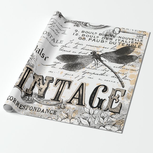 Dragonfly Wrapping Papprare - Vintage av Fransk Presentpapper (Utrullad)
