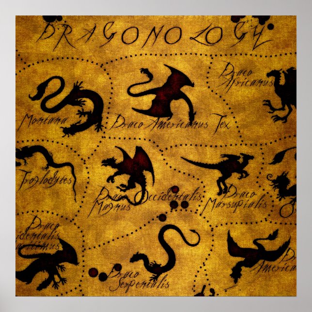 Dragonologi 1 poster (Framsidan)