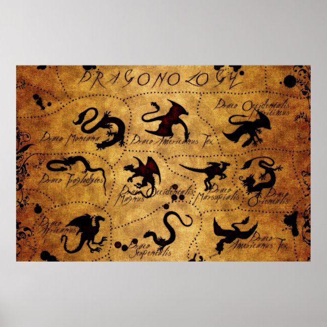 Dragonologi Poster (Framsidan)