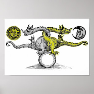 Dragons guld & Silver Poster