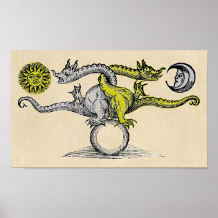 Dragons guld & Silver Poster