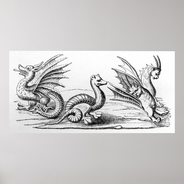 Dragons Poster (Framsidan)