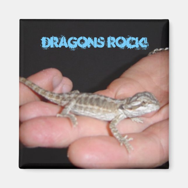 Dragons Sten My World Magnet (Framsidan)