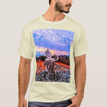 Dragonware- och Kidtastisk-design