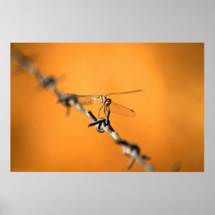 Dragonwire Poster