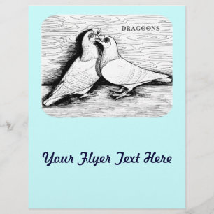 Dragoon Pigeons White Pair Reklamblad