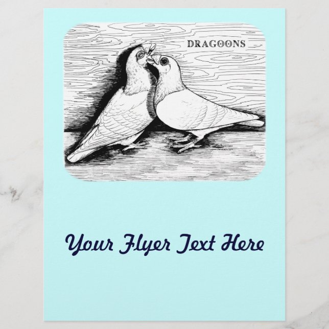 Dragoon Pigeons White Pair Reklamblad (Framsidan)